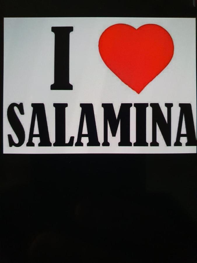 Villa Lina Salamina Ambelakia 外观 照片